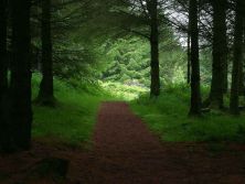 ireland_106_bg_061602.jpg